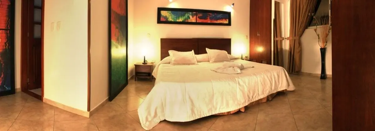 Superior Tek Büyük Yataklı Oda (Air conditioning)