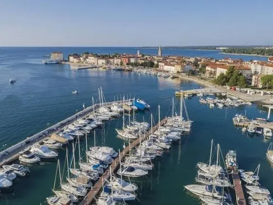 Oda, 1 Yatak Odası, Teras