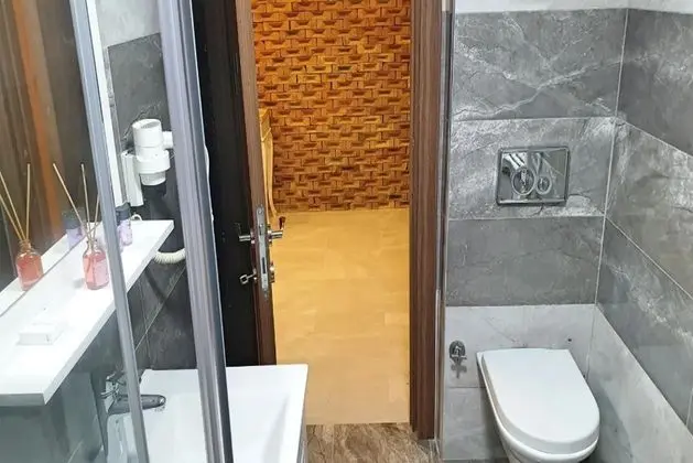 Kırlangıç