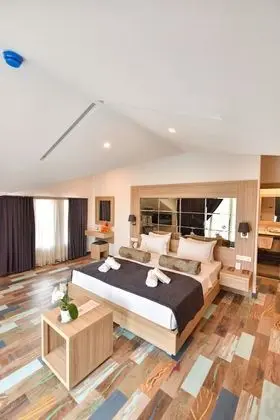 Deluxe Tek Büyük veya İki Ayrı Yataklı Oda