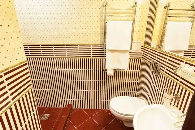 Standard Tek Büyük veya İki Ayrı Yataklı Oda, 1 Yatak Odası, Avlu Manzaralı