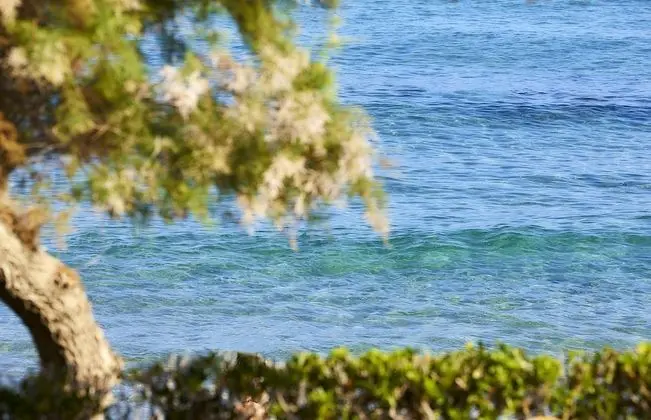 Comfort Tek Büyük veya İki Ayrı Yataklı Oda, Deniz Manzaralı
