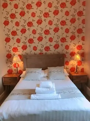 Tek Büyük Yataklı Oda, 1 Çift Kişilik Yatak, Banyolu/Duşlu