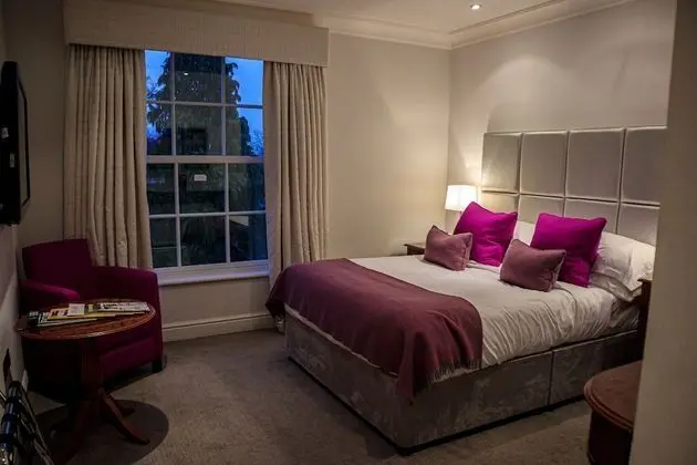 Comfy King Room
