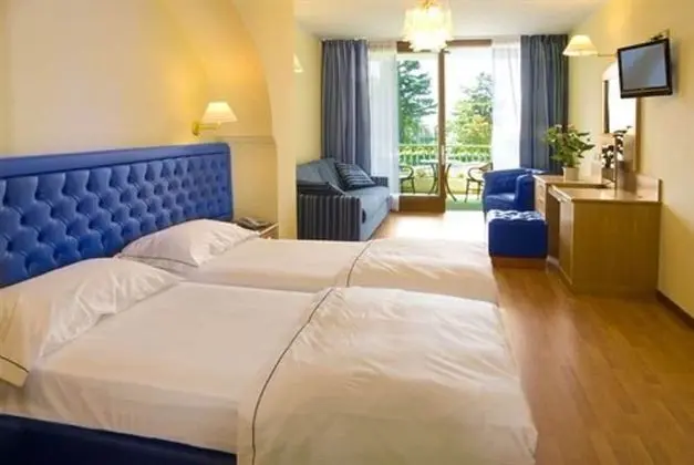 Superior Tek Büyük Yataklı Oda, Göl Manzaralı