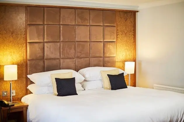 Superior Tek Büyük Yataklı Oda