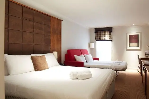 Superior Tek Büyük Yataklı Oda