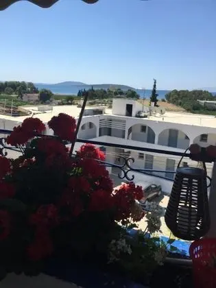 Stüdyo