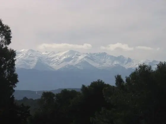 Tek Büyük veya İki Ayrı Yataklı Oda, Balkon