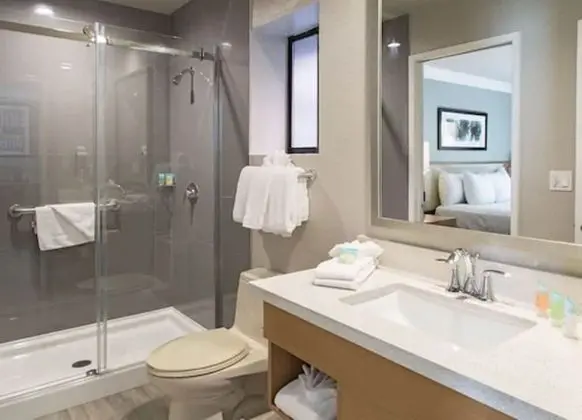 Çatı Katı (Loft)