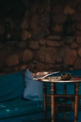 Üç Kişilik Oda, Şehir Manzaralı