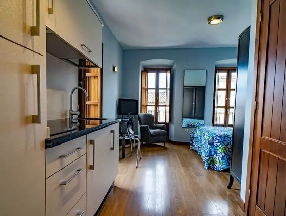 Standard Apart Daire, 1 Yatak Odası, Mutfak