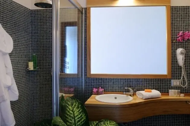 Superior Tek Büyük Yataklı Oda, Bahçe Manzaralı