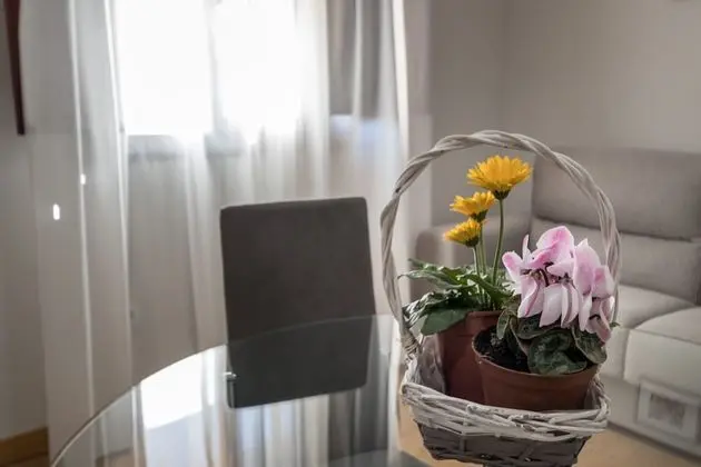 Apart Daire, 1 Yatak Odası, Mutfak