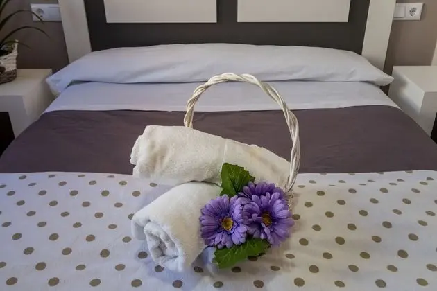 Apart Daire, 1 Yatak Odası, Mutfak