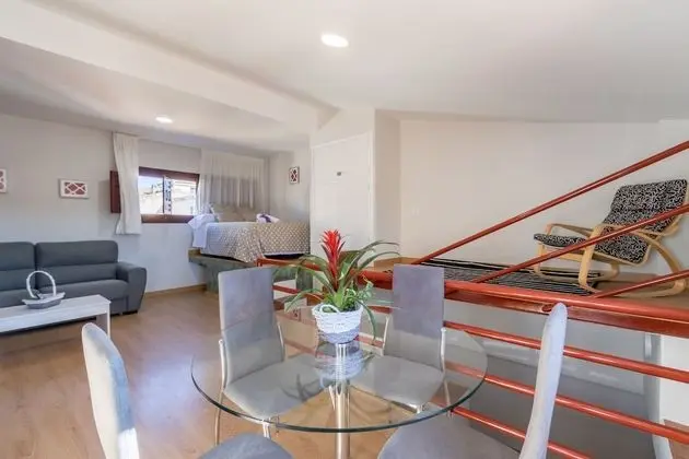 Çatı Katı Süiti (Penthouse), 1 Yatak Odası, Mutfak