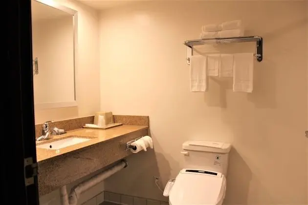 Basic Stüdyo Süit, 1 En Büyük (King) Boy Yatak, Özel Banyo