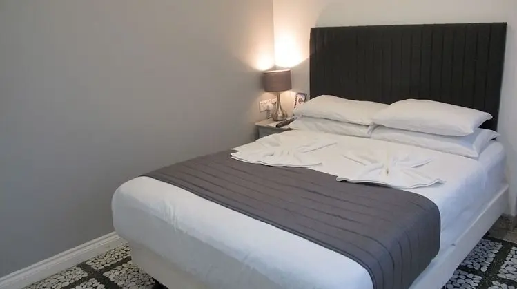 Standard Tek Büyük Yataklı Oda, Banyolu/Duşlu (Extra bed)