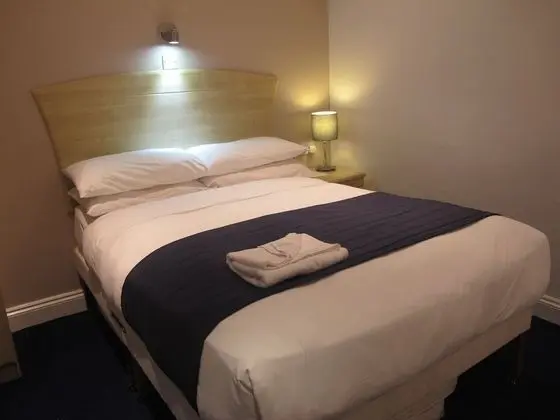 Standard Tek Büyük Yataklı Oda, Banyolu/Duşlu (Extra bed)