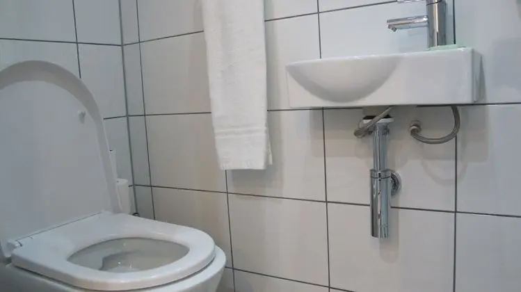 Standard Tek Büyük Yataklı Oda, Banyolu/Duşlu (Extra bed)