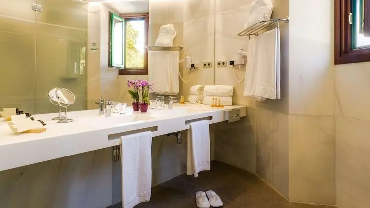 Deluxe Oda, 2 Tek Kişilik Yatak, Sigara İçilmez (Walk-in Shower)