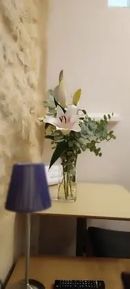 Classic Tek Kişilik Oda, Özel Banyo