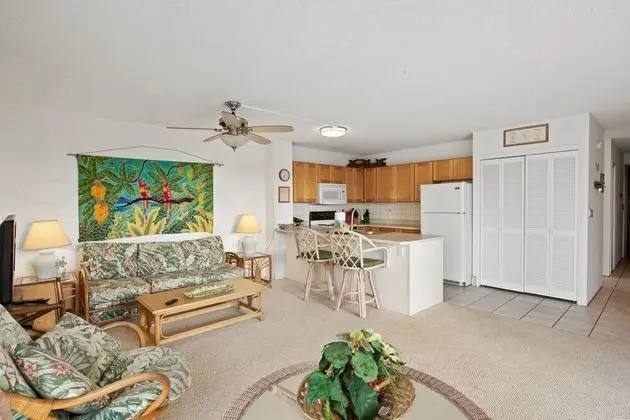 Daire, 1 Büyük (Queen) Boy Yatak ve Çekyat (Alii Villas 340)