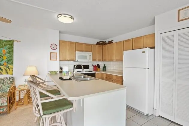 Daire, 1 Büyük (Queen) Boy Yatak ve Çekyat (Alii Villas 340)
