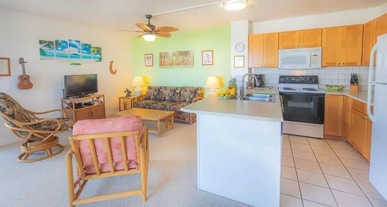Daire, 1 Büyük (Queen) Boy Yatak ve Çekyat (Alii Villas 340)