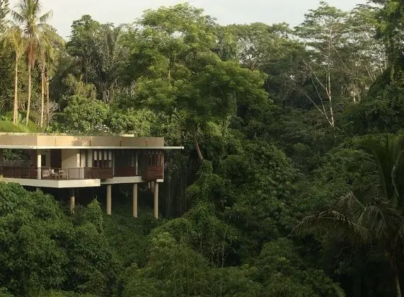 Villa (Forest Edge)