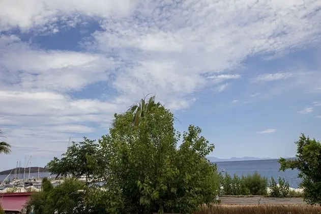 Standard Tek Büyük Yataklı Oda, Deniz Manzaralı