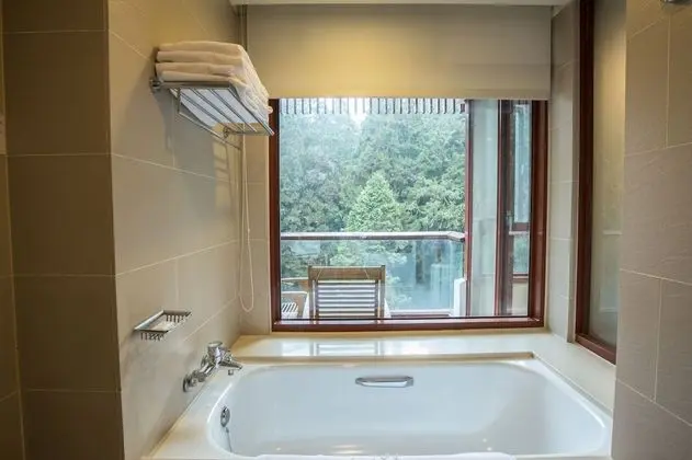 Deluxe Tek Büyük Yataklı Oda, Şömine (Modern Building)