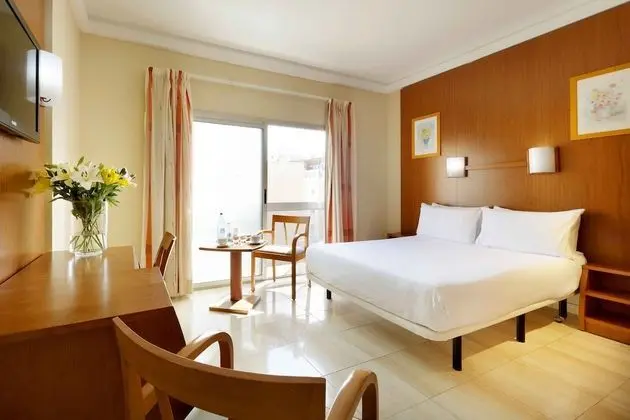 Standard Tek Büyük Yataklı Oda, 1 Çift Kişilik Yatak