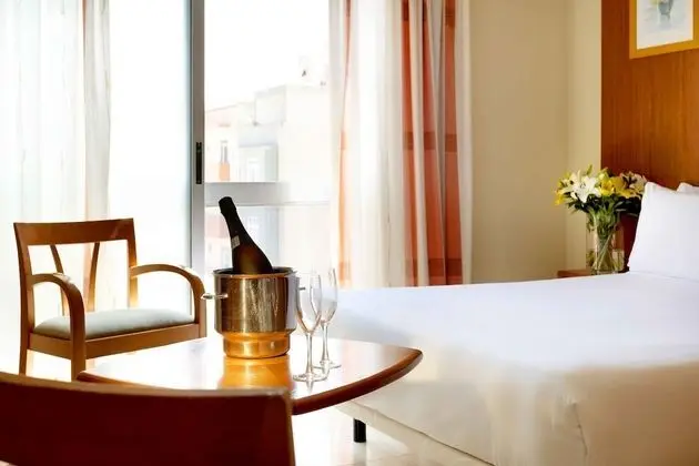 Standard Tek Büyük Yataklı Oda, 1 Çift Kişilik Yatak