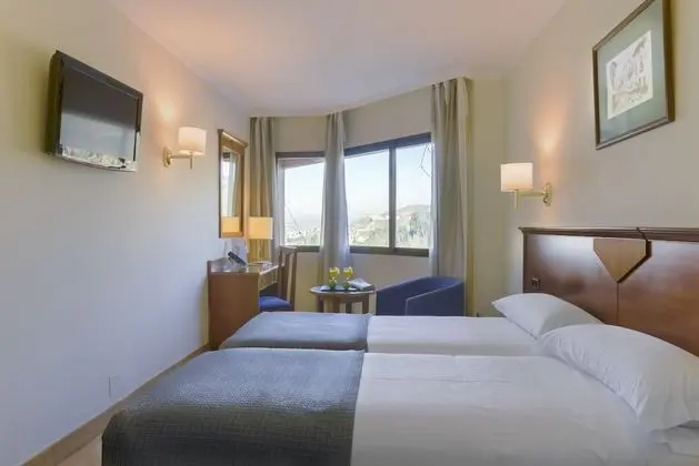 Standard Tek Büyük veya İki Ayrı Yataklı Oda, 2 Tek Kişilik Yatak