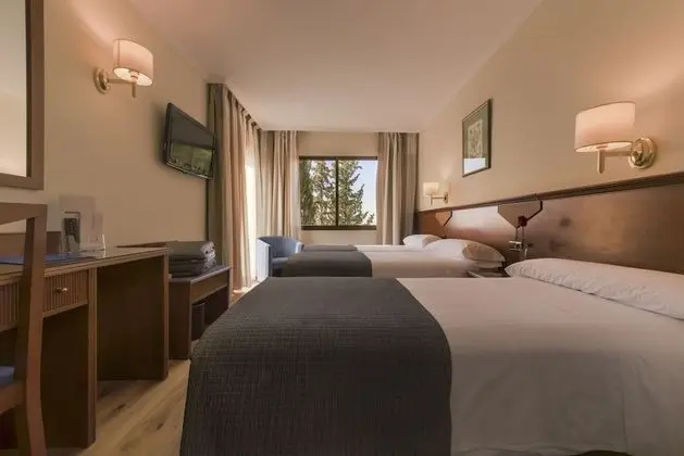 Standard Tek Büyük veya İki Ayrı Yataklı Oda, 2 Tek Kişilik Yatak