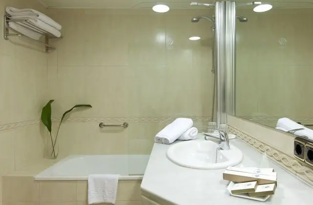 Standard Tek Büyük veya İki Ayrı Yataklı Oda, 2 Tek Kişilik Yatak