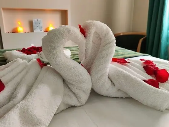 Superior Tek Büyük Yataklı Oda, Bahçe Manzaralı