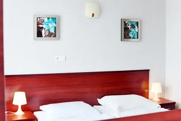 Standard Tek Büyük Yataklı Oda, 2 Tek Kişilik Yatak, Şehir Manzaralı