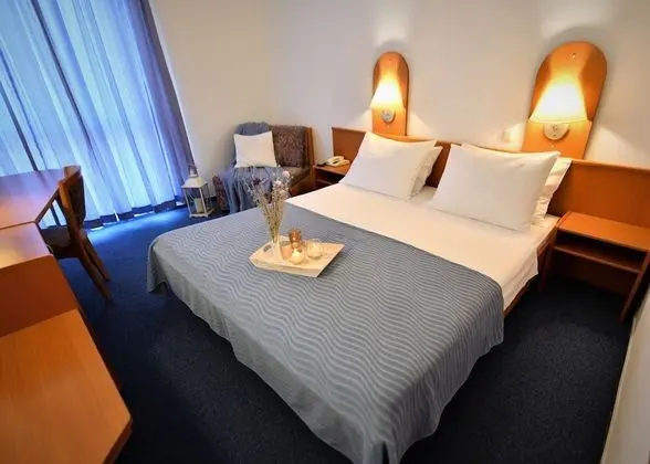 Comfort Tek Büyük veya İki Ayrı Yataklı Oda, Park Manzaralı