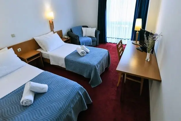 Comfort Tek Büyük veya İki Ayrı Yataklı Oda, Park Manzaralı