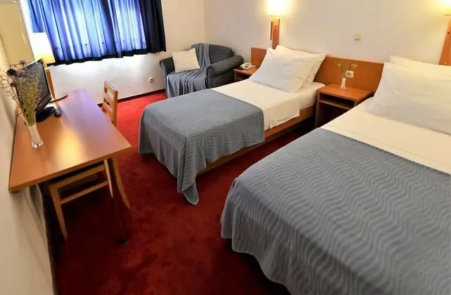 Comfort Tek Büyük veya İki Ayrı Yataklı Oda, Park Manzaralı