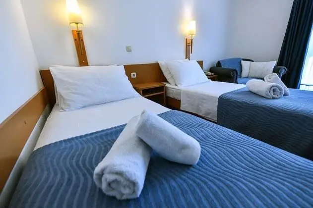 Comfort Tek Büyük veya İki Ayrı Yataklı Oda, Park Manzaralı