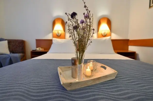 Comfort Tek Büyük veya İki Ayrı Yataklı Oda, Park Manzaralı