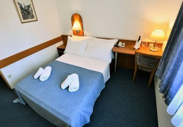 Standard Tek Büyük Yataklı Oda, Park Manzaralı