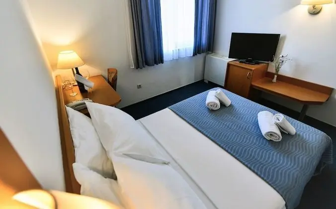 Standard Tek Büyük Yataklı Oda, Park Manzaralı