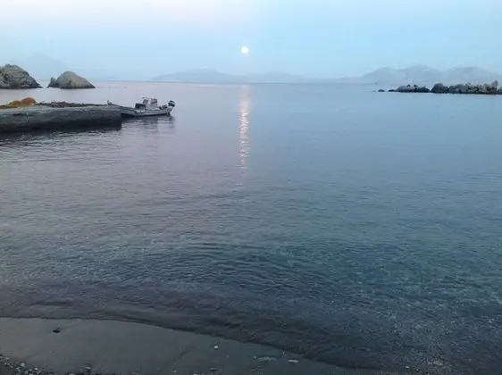 Apart Daire, 1 Yatak Odası, Balkon