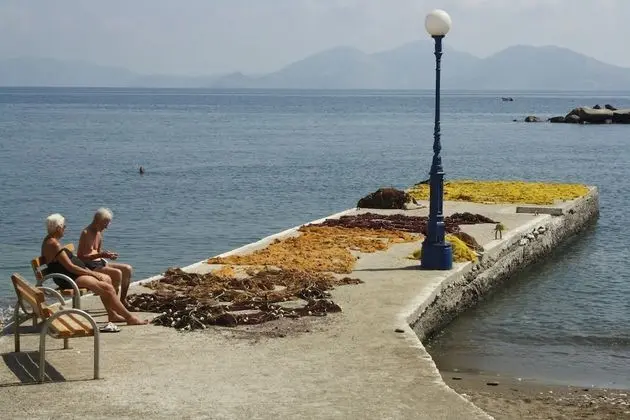 Apart Daire, 1 Yatak Odası, Veranda