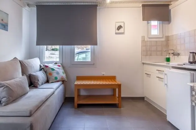 Junior Çatı Katı (Loft), 1 Büyük (Queen) Boy Yatak ve Çekyat, Sigara İçilebilir