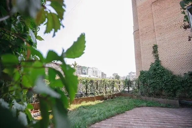 Basic Ortak Ranzalı Oda (6 beds)